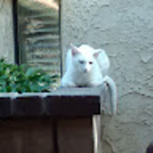 Meet your Posher, Deborah